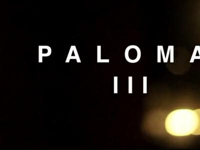 唯美波士顿场景滑板视频「Palomar III」