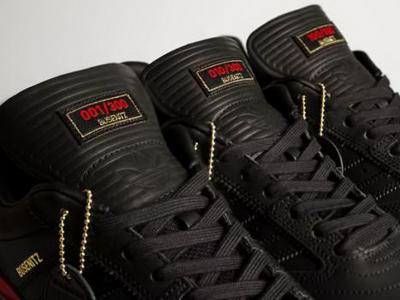 Adidas 限量款「Friends and Family」Busenitz Pro 发布