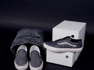 Vans X Quasi限量合作款「ArcAD」-全新Gilbert Crockett Pro 2